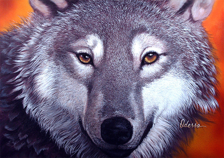Wolf portrait, acrylic on canvas