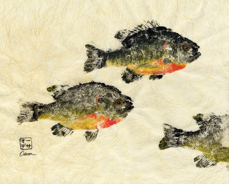 Brim fish school Gyotaku on Shoji paper